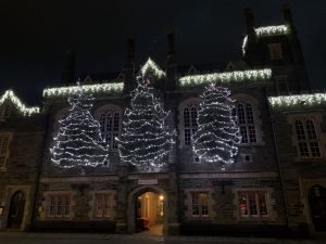 Trees of Light
